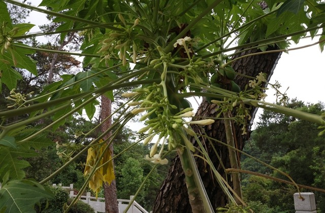 成年人发的疲惫说说 一秒破防的精疲力竭的文案