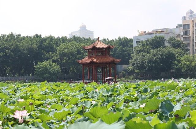 晚上失眠多梦的说说