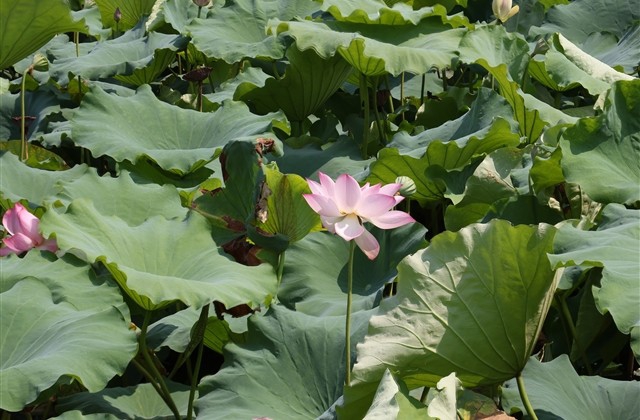 花样符号大全可复制